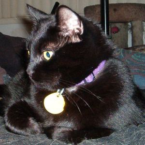 Patch w/GC (PCW #1396) Patch w/GC (PCW #1396)